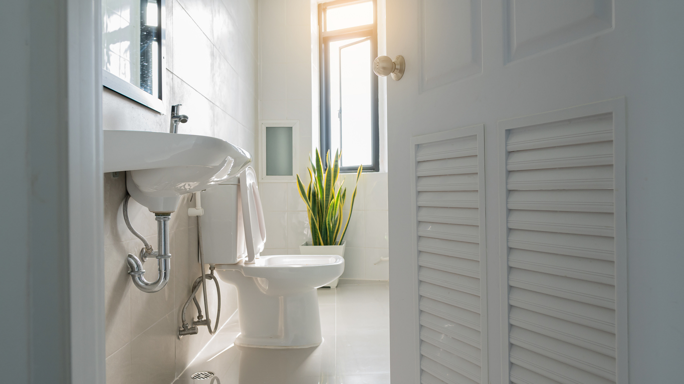 Toilet and Sink Repairs